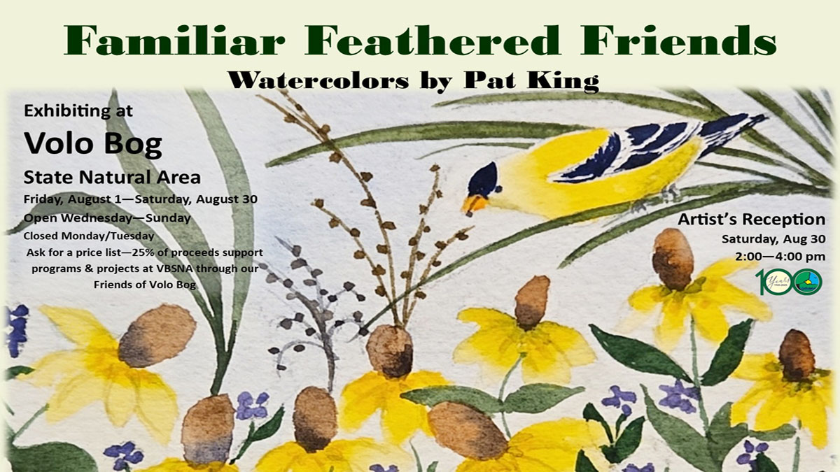 Familiar Feathered Friends: Watercolors by Pat King Exhibiting at Volo Bog